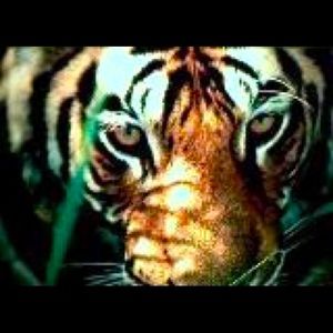 Meet your Posher, Mildred